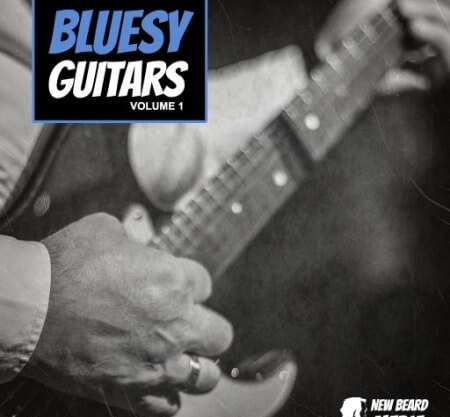 New Beard Media Bluesy Guitars Vol.1 WAV